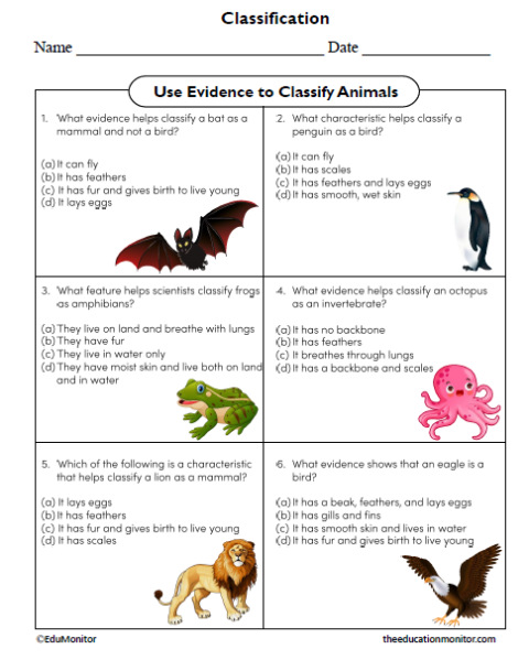 Use Evidence to Classify Animals Worksheet - EduMonitor | Science, Math ...