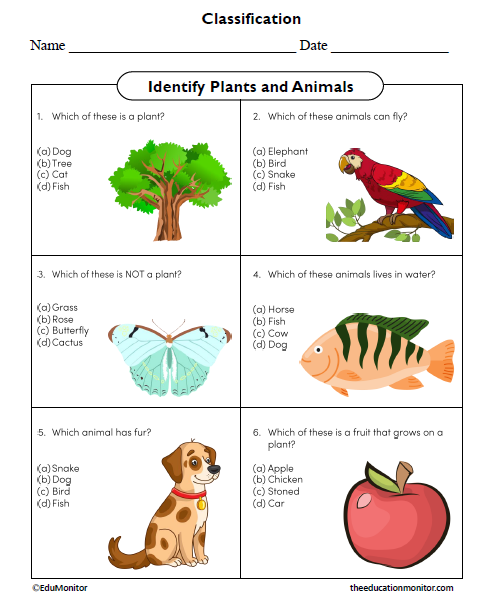 Identify Plants and Animals Second Grade Science Worksheet
