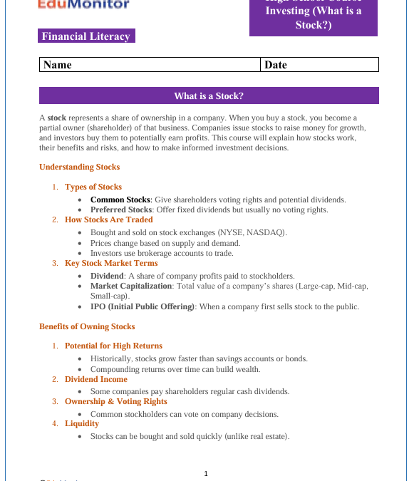 What is a Stock High School Financial Literacy Packet