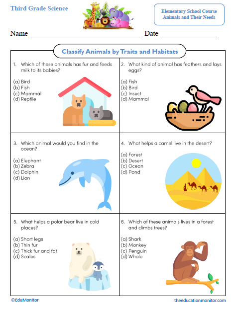 Classify Animals by Traits and Habitats Third Grade Science Worksheet