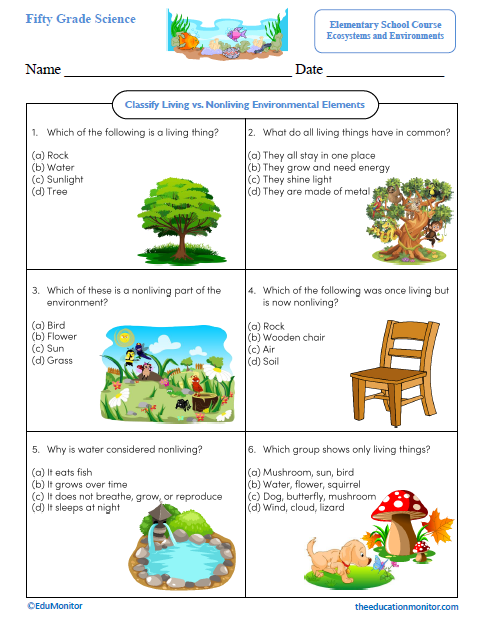 Classify Living and Nonliving Environmental Elements Science Worksheet