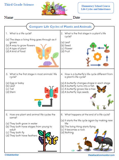 Compare Life Cycles of Plants and Animals Third Grade Science Worksheet