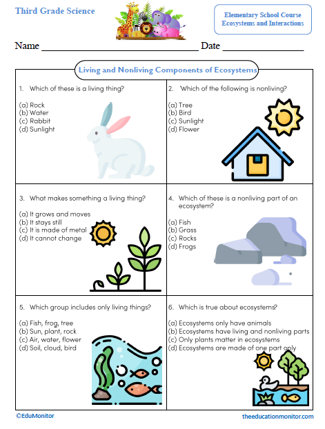 Living and Nonliving Components of Ecosystems Third Grade Science Worksheet