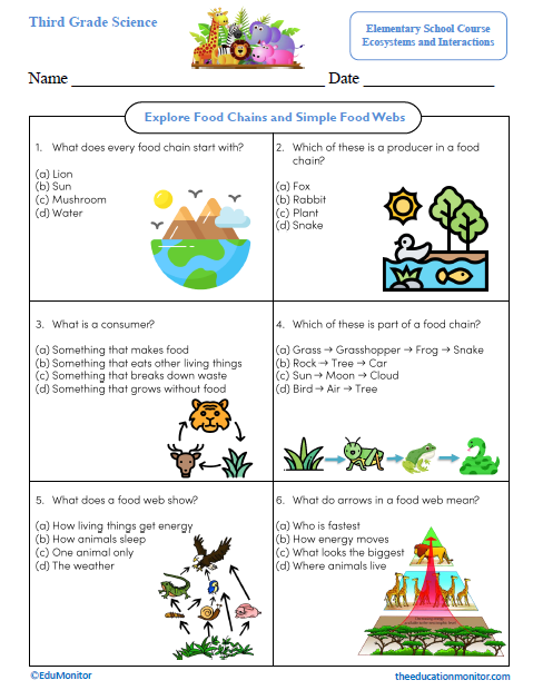 Explore Food Chains and Simple Food Webs Science Worksheet