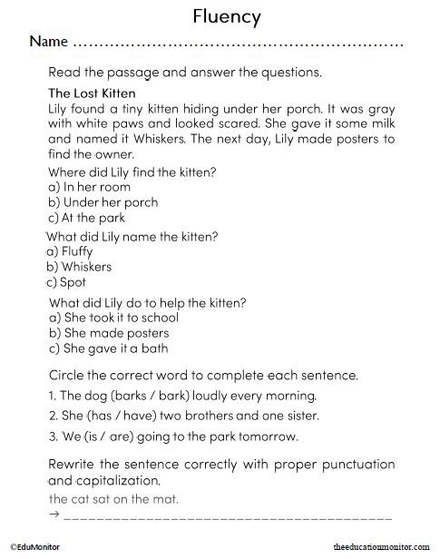 Fluency English Language Arts Worksheet_EduMonitor Fluency English Language Arts Worksheet for Third Grade
