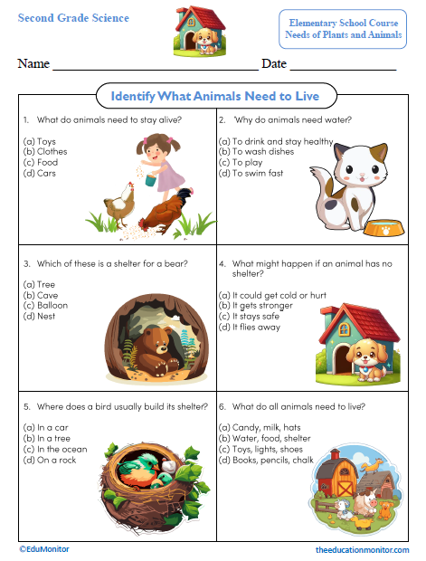 Identify What Animals Need to Live Second Grade Worksheet