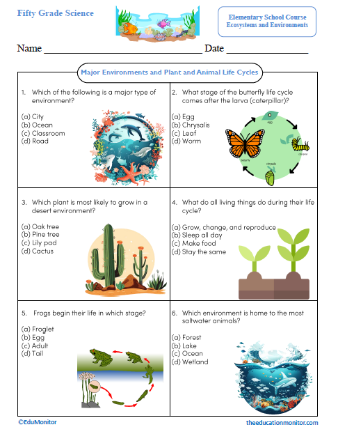 Environments and Plant and Animal Life Cycles Science Worksheet