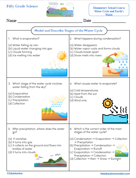 Model and Describe Stages of the Water Cycle Science Worksheet