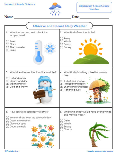 Observe and Record Daily Weather Second Grade Worksheet