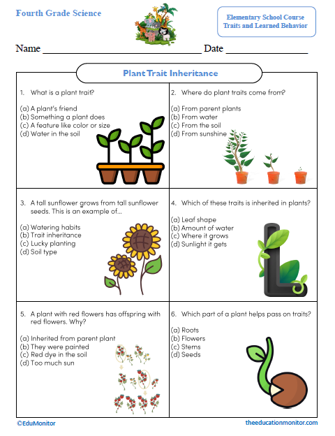 Plant Trait Inheritance Science Worksheet Plant Trait Inheritance Fourth Grade Science Worksheet