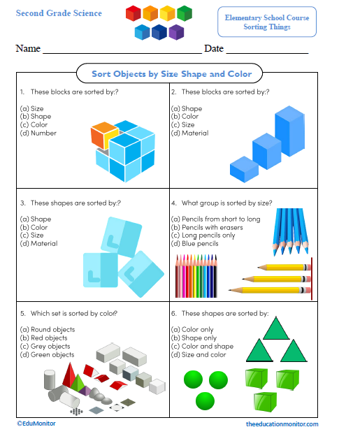 Sort Objects by Size Shape and Color Second Grade Worksheet