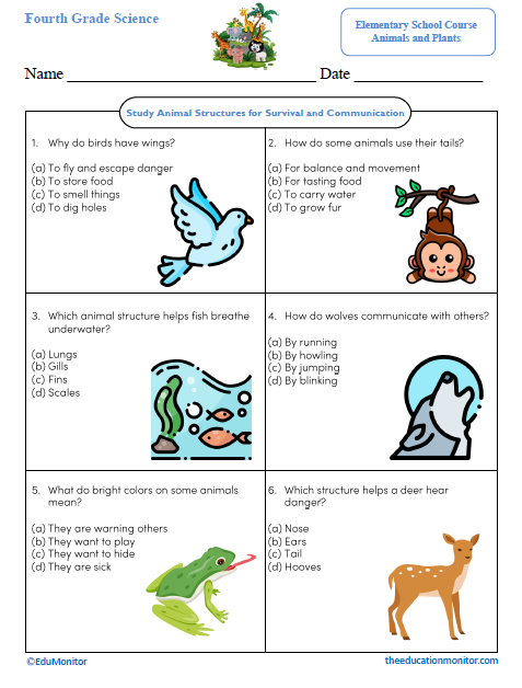 Study Animal Structures for Survival and Communication Science Worksheet