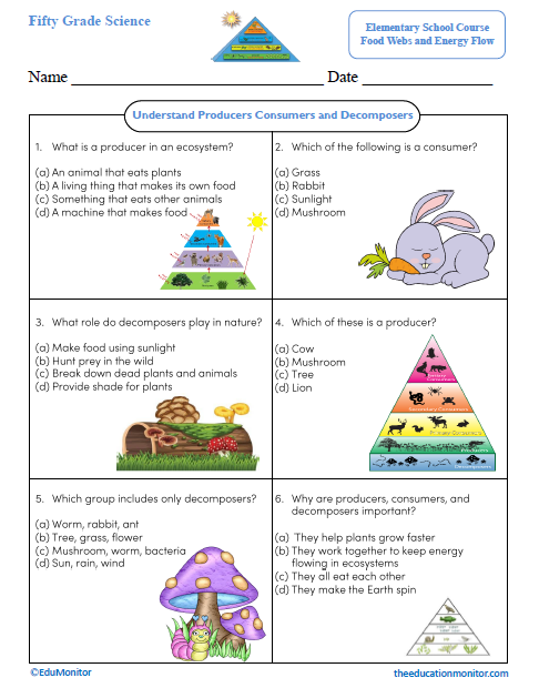Understand Producers Consumers and Decomposers Science Worksheet