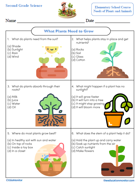 What Plants Need to Grow Second Grade Worksheet