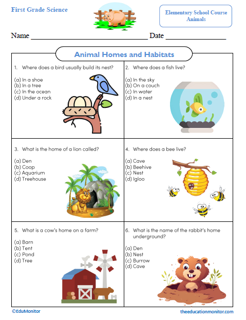 Animal Homes and Habitats Science Worksheet_Edumonitor Animal Homes and Habitats First Grade Science Worksheet