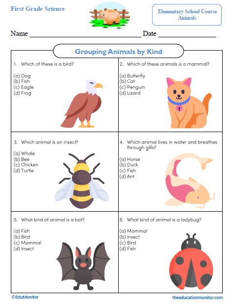 Grouping Animals by Kind First Grade Science Worksheet