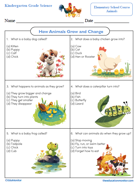How Animals Grow and Change Science Worksheet_Edumonitor How Animals Grow and Change Kindergarten Science Worksheet
