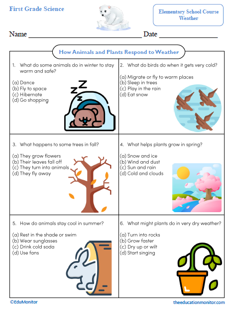 How Animals and Plants Respond to Weather First Grade Science Worksheet