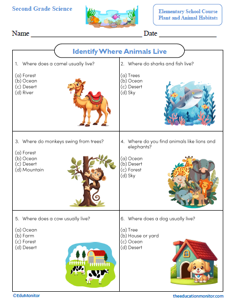 Identify Where Animals Live Second Grade Worksheet