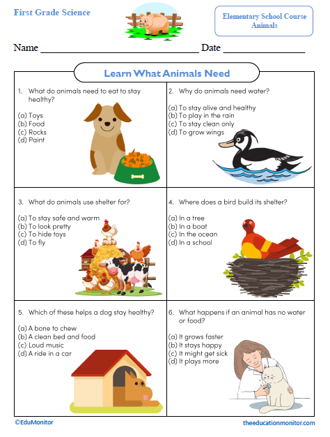Learn What Animals Need First Grade Science Worksheet