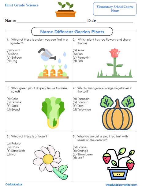 Name Different Garden Plants Science Worksheet_Edumonitor Name Different Garden Plants First Grade Science Worksheet