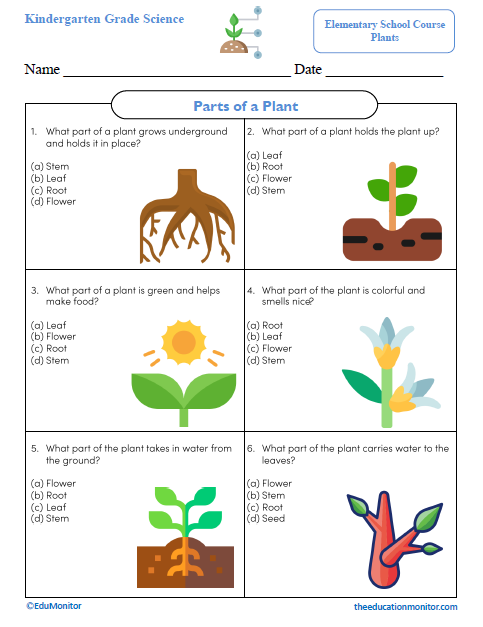 Parts of a Plant Science Worksheet_Edumonitor Parts of a Plant Kindergarten Science Worksheet