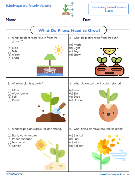 What Do Plants Need to Grow Science Worksheet_Edumonitor Discover What Plants Need to Grow Kindergarten Science Worksheet