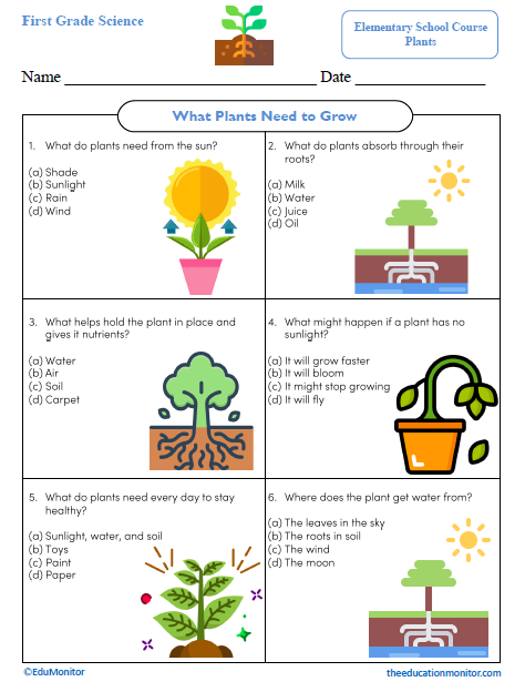 What Plants Need to Grow First Grade Science Worksheet