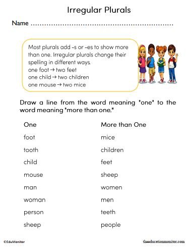 Irregular Plurals Worksheet for 2nd Grade