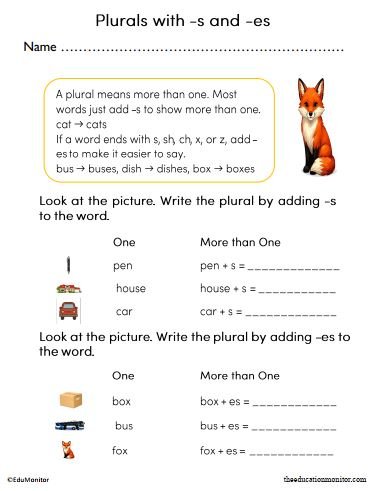 2nd Grade Plurals with -s and -es Worksheet