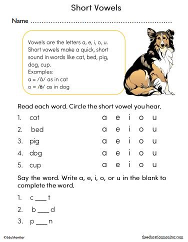 Short Vowels Worksheet for 2nd Grade