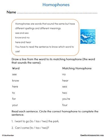 Homophones Worksheet for Grade 2