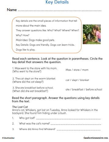 Key Details Reading and Writing Worksheet for Grade 2