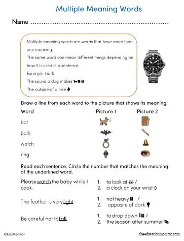 Grade 2 Multiple Meaning Words Worksheet