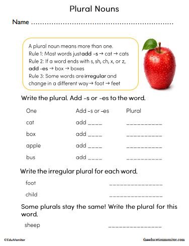 Plural Nouns Worksheet for 2nd Grade
