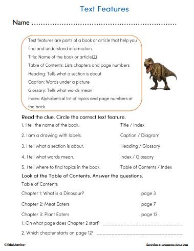 Text Features Reading and Writing Worksheet for Grade 2