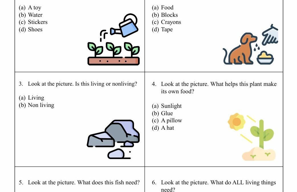 What Living Things Need Kindergarten Science Worksheet