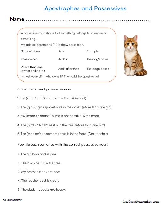 3rd Grade Apostrophes and Possessives Worksheet