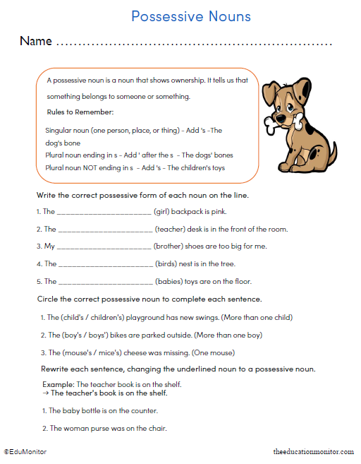 Possessive Nouns Worksheet for Third Grade