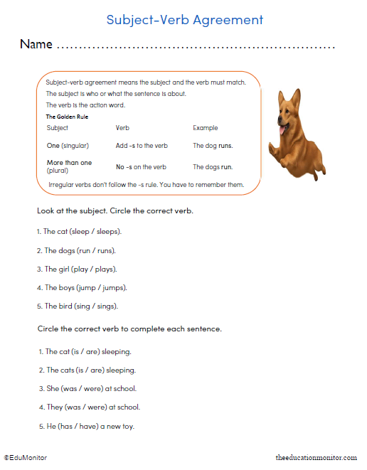 Grade 3 Subject-Verb Agreement Printable Worksheet