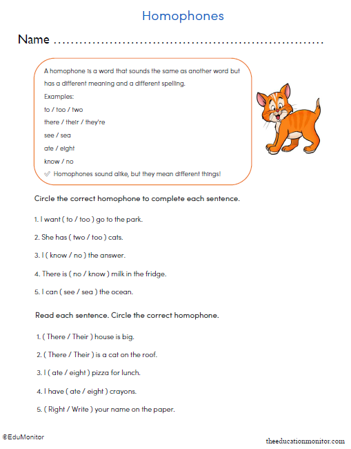 Grade 3 Homophones Printable Worksheet