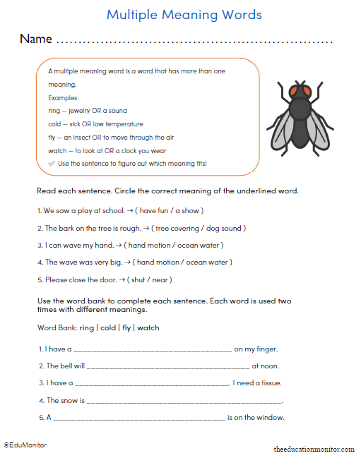 Grade 3 Multiple Meaning Words Worksheet